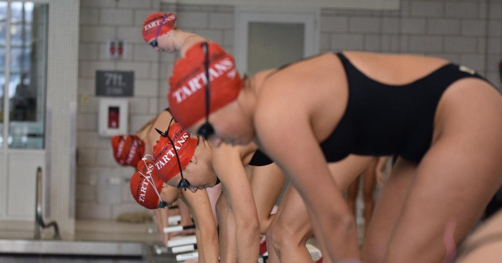 women's swimmers about to jump off the starting blocks