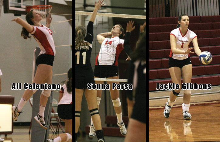 Three Tartans Named to the All-UAA Volleyball Squad