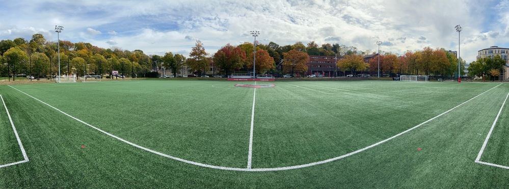photo of a soccer field with trees lining far side