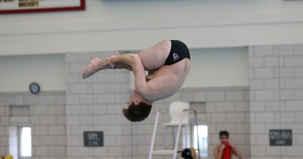 Divers Excel at NCAA Regional