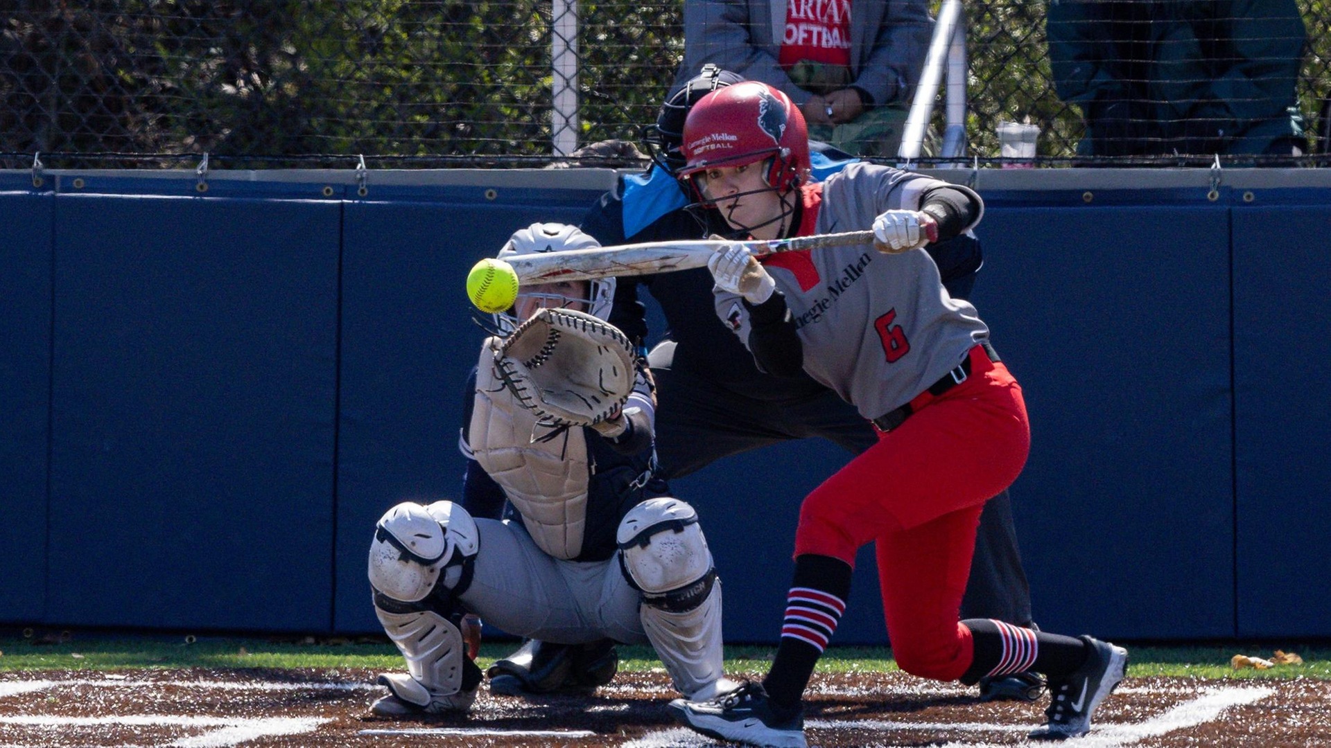 women's softball player wearing gray jersey with red pants looks to bunt the ball