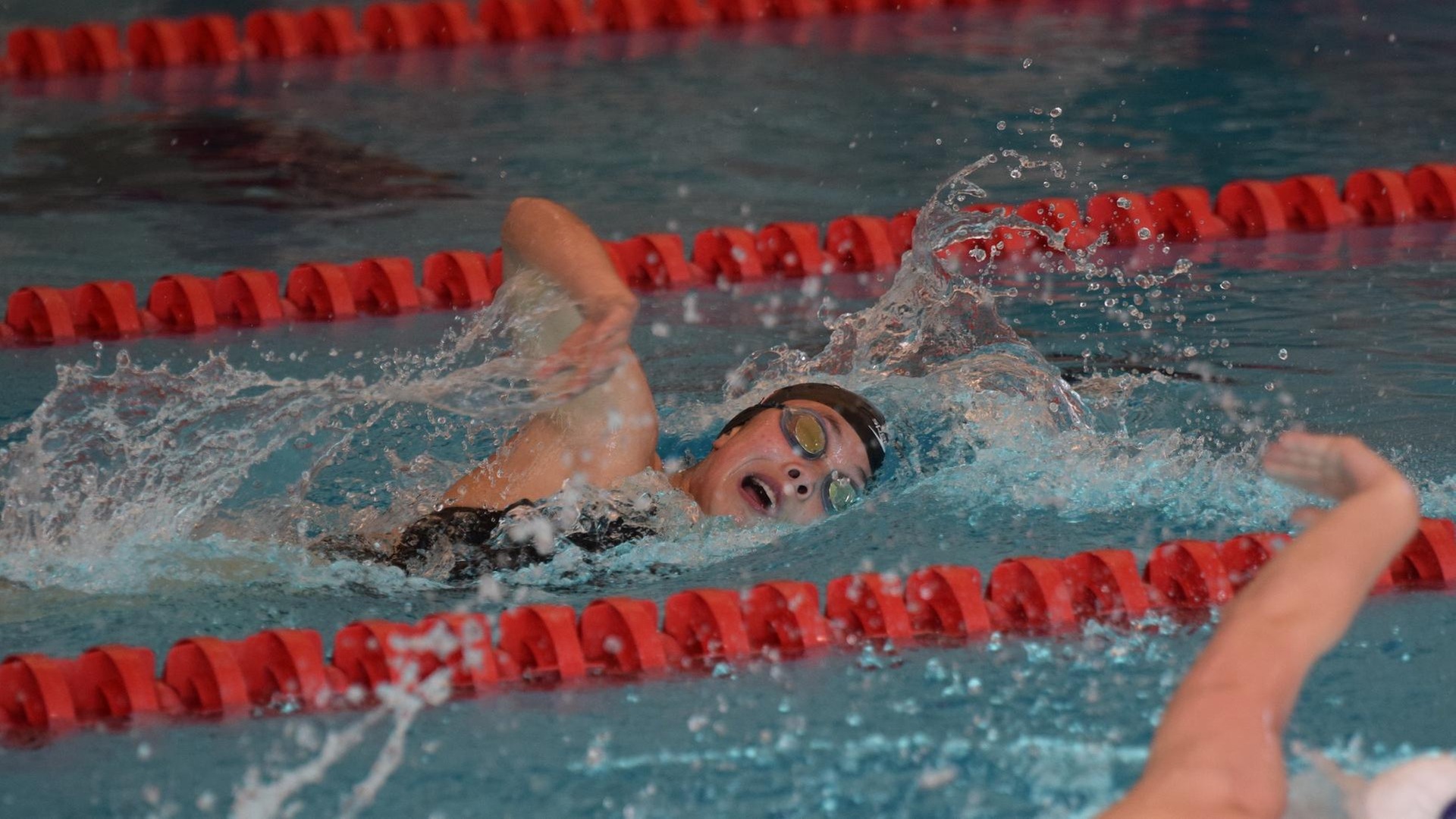 women's swimmer in freestyle motion