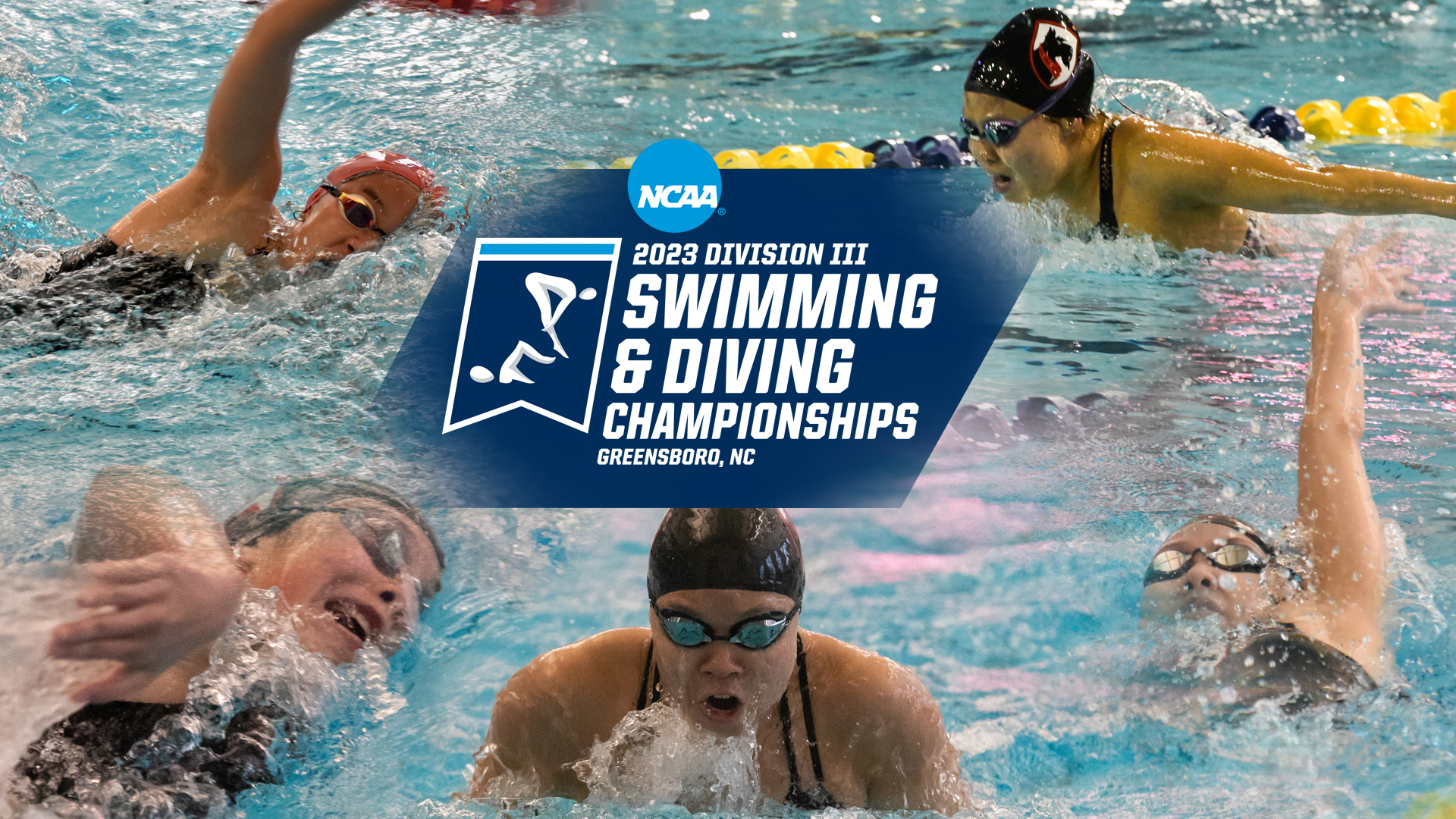 collage of five women swimmers in the water with the NCAA Swimming and Diving Championships logo in the center