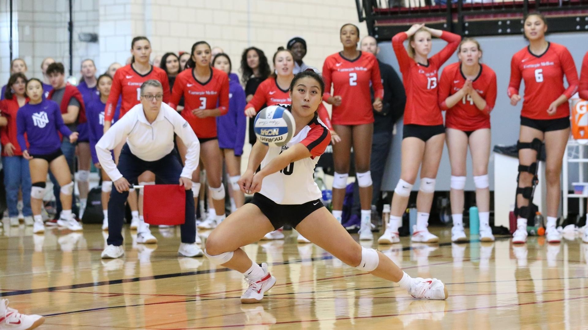 women's volleyball player with knees low to the court to dig the ball