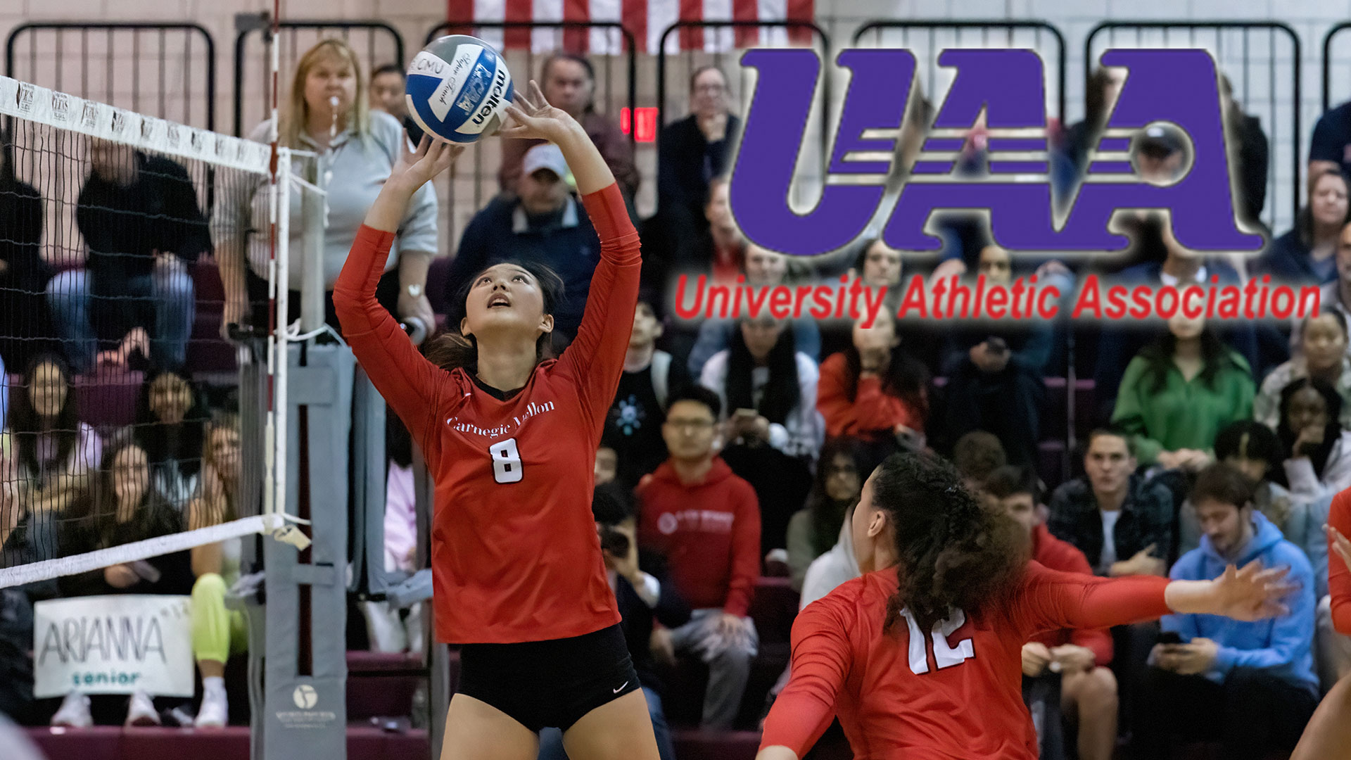 Yan Named First Team All-UAA, Three Others Honored