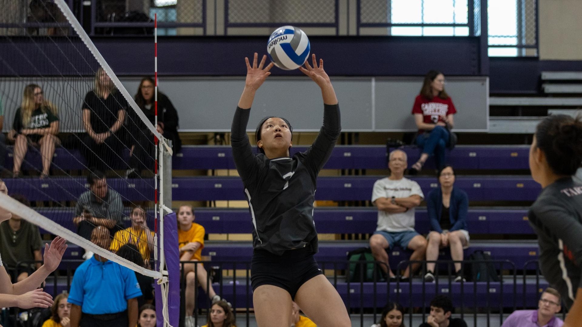 women's volleyball player jumping to set the ball near the net
