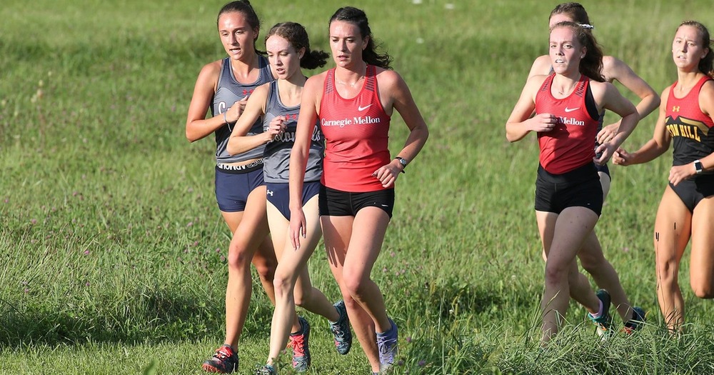 Tartans Place Fifth at Paul Short Invitational Brown Race