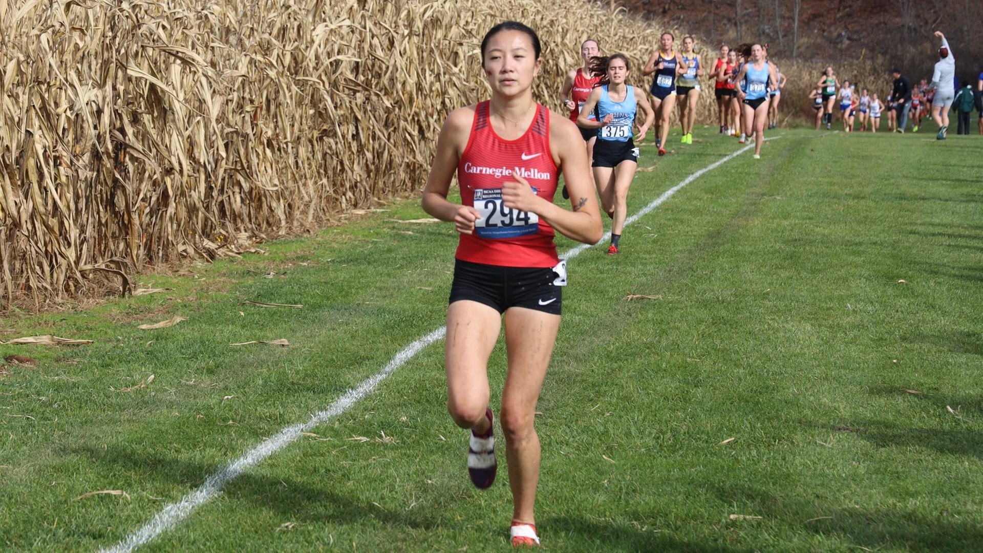 women's cross country runner wearing a red top and black shorts running by a cornfield with others behind her